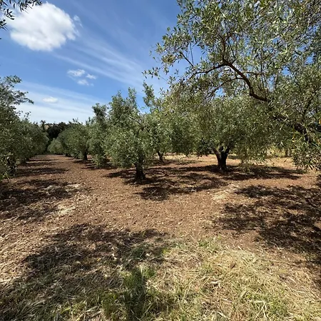 Tatil Evi Borgo Bortolone Chiaramonte Gulfi