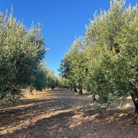 Borgo Bortolone Prázdninový dům