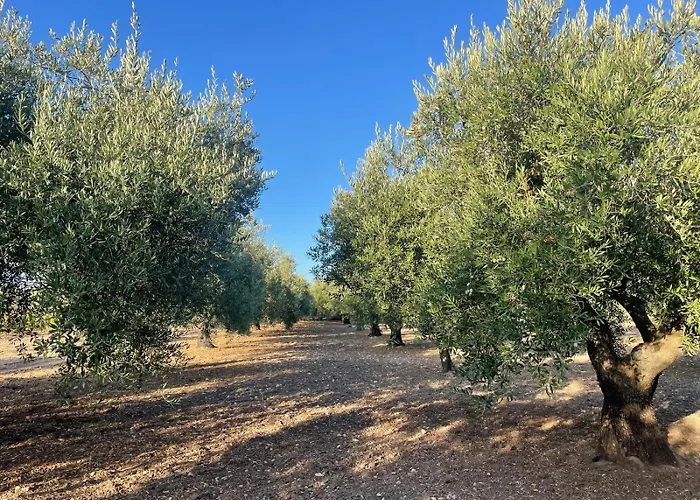 Borgo Bortolone Prázdninový dům