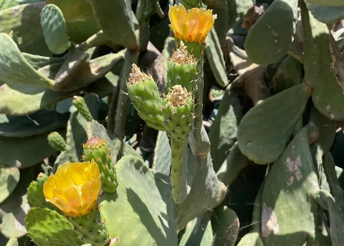 Prázdninový dům Borgo Bortolone Chiaramonte Gulfi